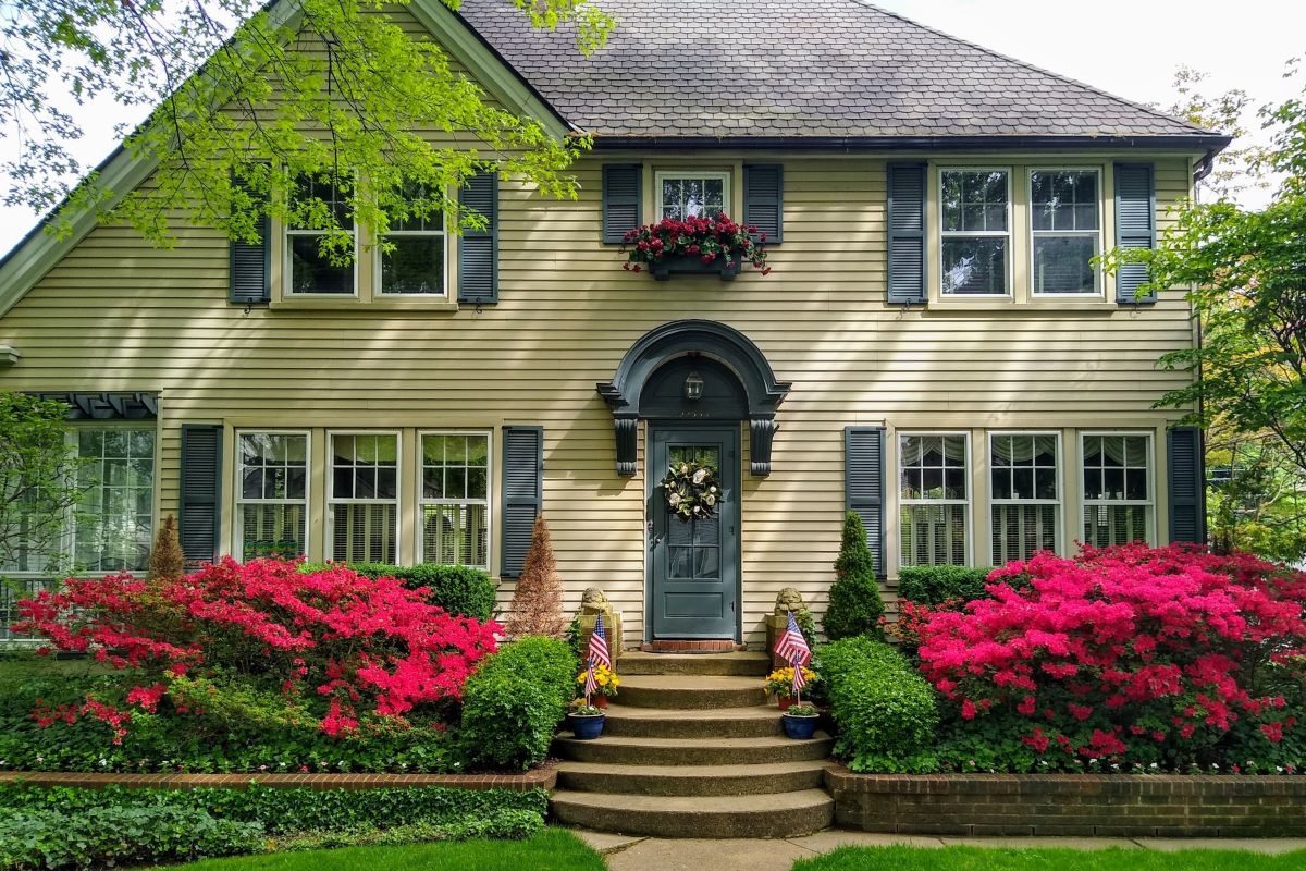 A classic two-story family home with flowering shrubs